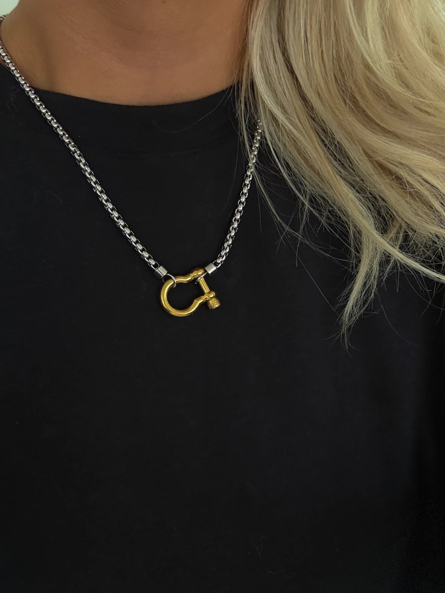 Horseshoe Halo Necklace