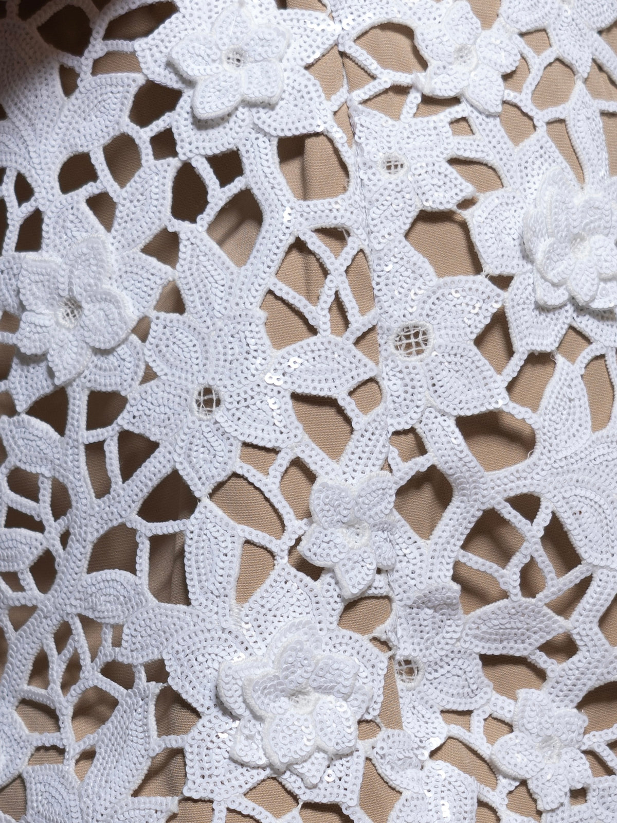 Ivory Garden Lace Sequin Mini Dress