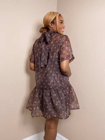 Dot After Dark Sheer Mini Dress