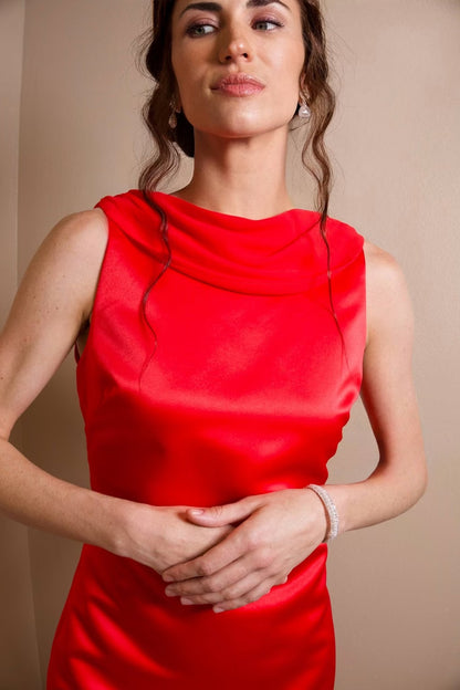 Firelight Cowl Back Dress