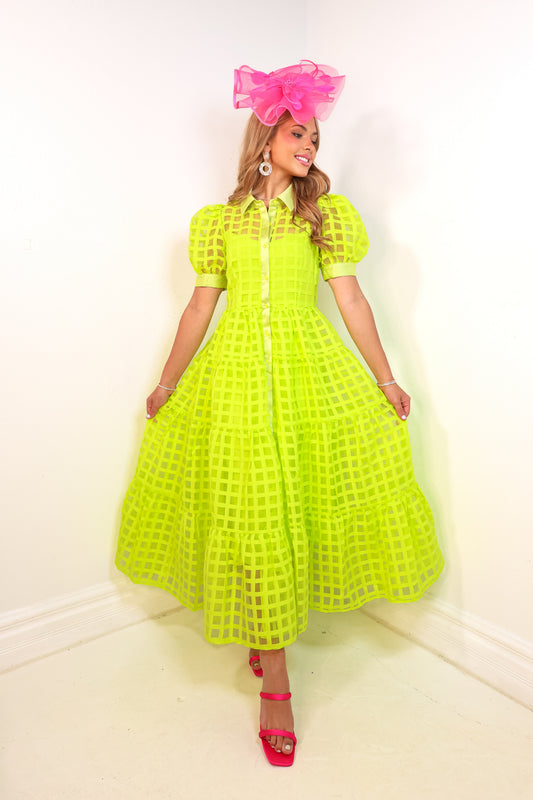 Endless Rose Glow Getter Organza Maxi Dress