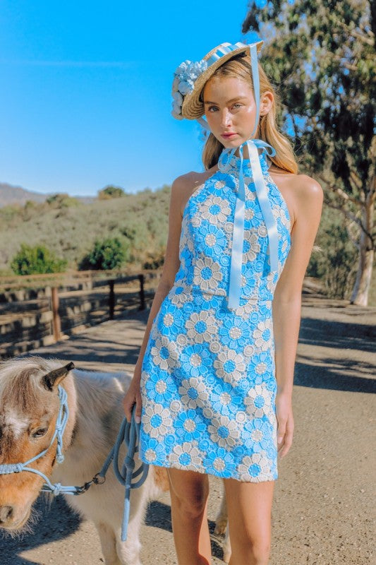 Bluebell Lace Halter Dress
