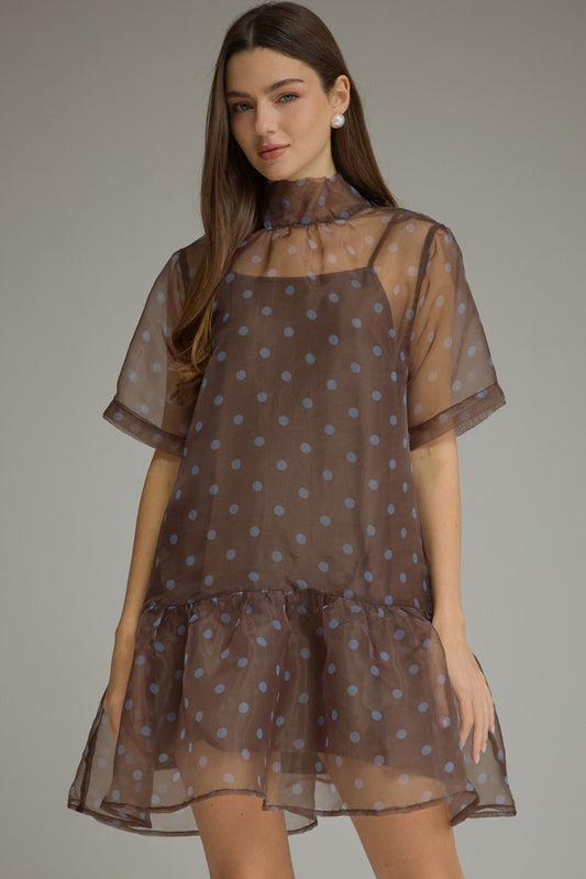 Dot After Dark Sheer Mini Dress