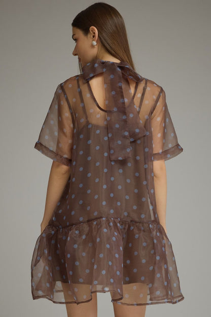 Dot After Dark Sheer Mini Dress