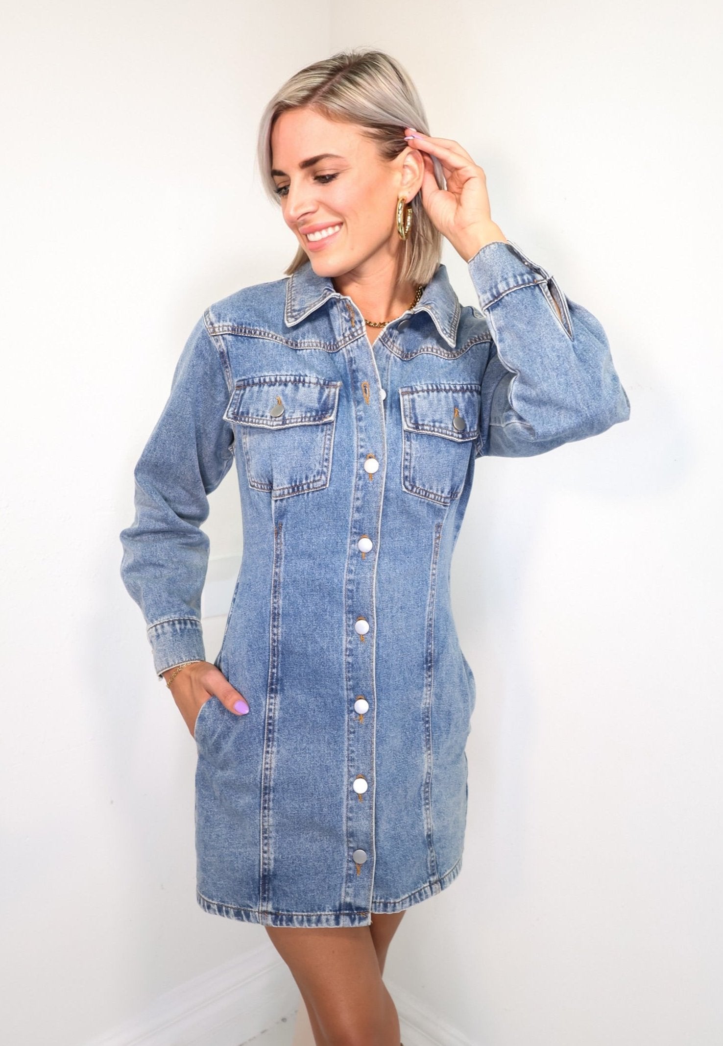 Fitted Denim Button Down Dress Blue Denim / Small (0/2) Fitted Denim Button Down Dress Blue Denim / Small (0/2)