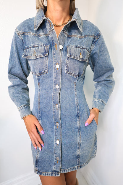 Fitted Denim Button Down Dress