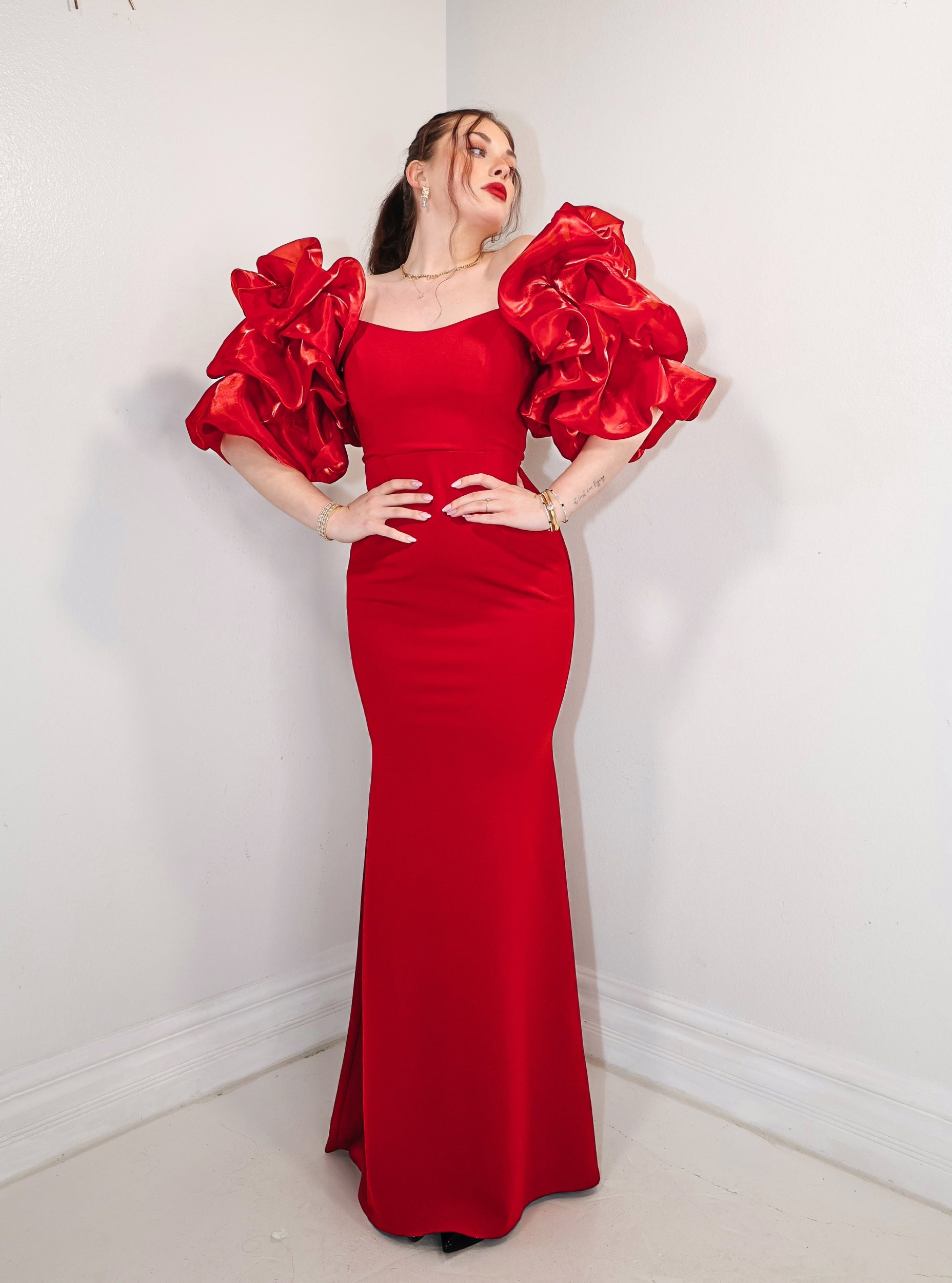 Red Roses In Bloom Puff Sleeve Dress Red / Small (0/2)