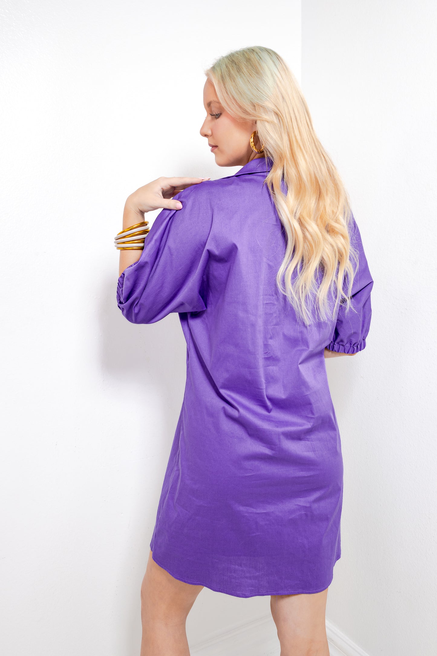 Sideline Style Collared Dress