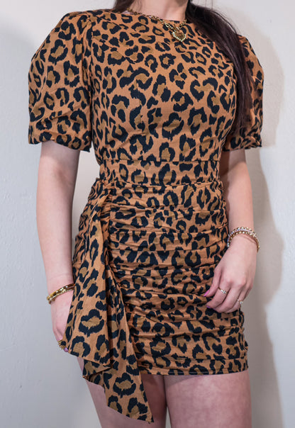 Untamed Grace Leopard Mini Dress