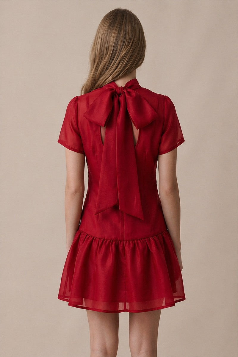 Soft Wishes Mini Dress