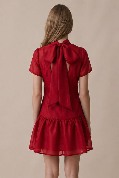 Soft Wishes Mini Dress