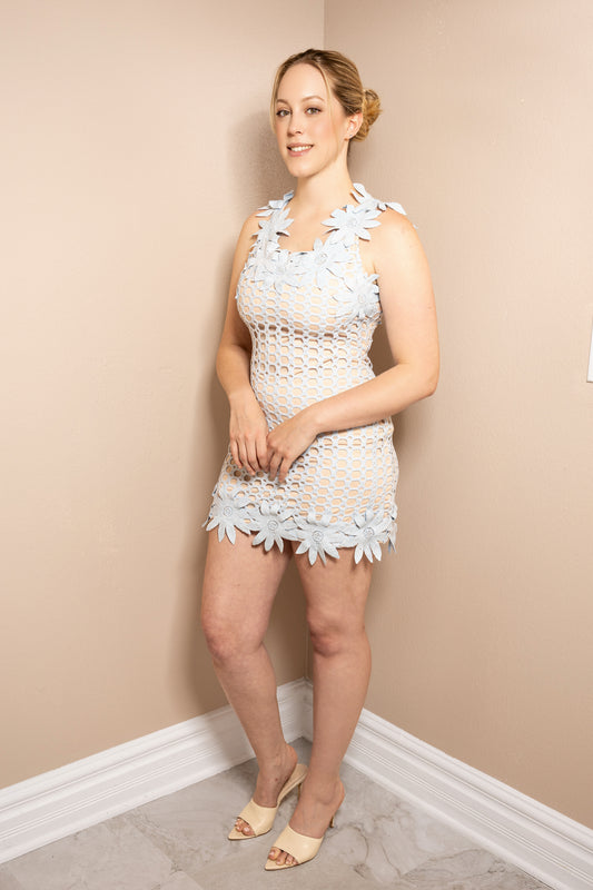 Daisy Whisper Mini Dress