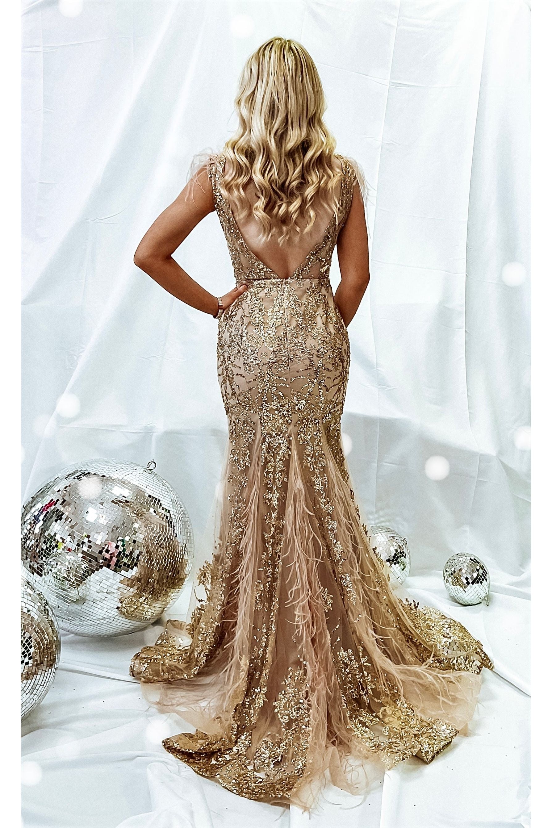 golden silver dress Silver Gold Crystal Gown